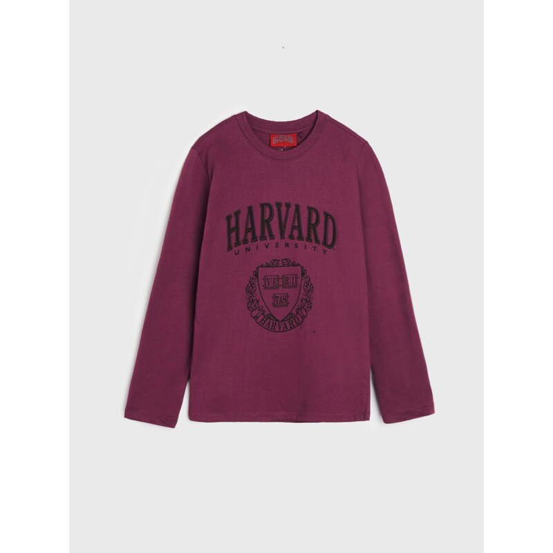 Sinsay - Tričko s dlouhými rukávy Harvard - světle fialová
