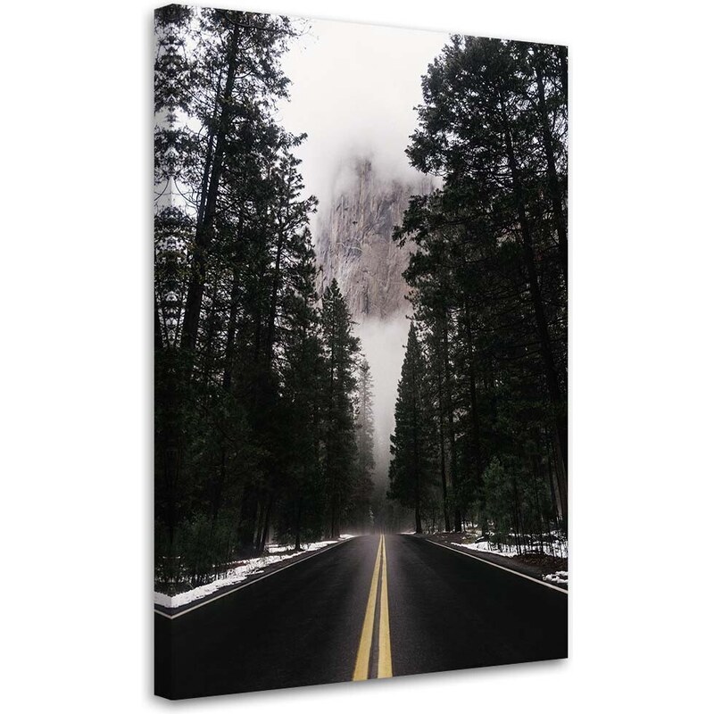 Gario Obraz na plátně Cesta v mlžném lese - Nikita Abakumov Rozměry: 40 x 60 cm