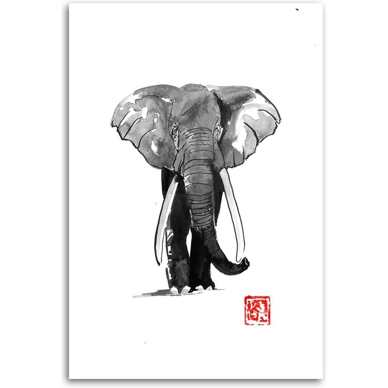 Gario Obraz na plátně Černobílý slon - Péchane Rozměry: 40 x 60 cm