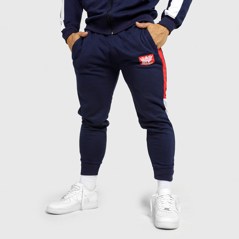 Jogger tepláky Iron Aesthetics Tricolora, navy