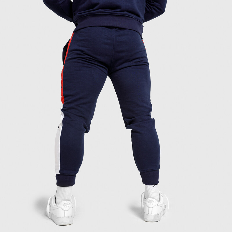 Jogger tepláky Iron Aesthetics Tricolora, navy