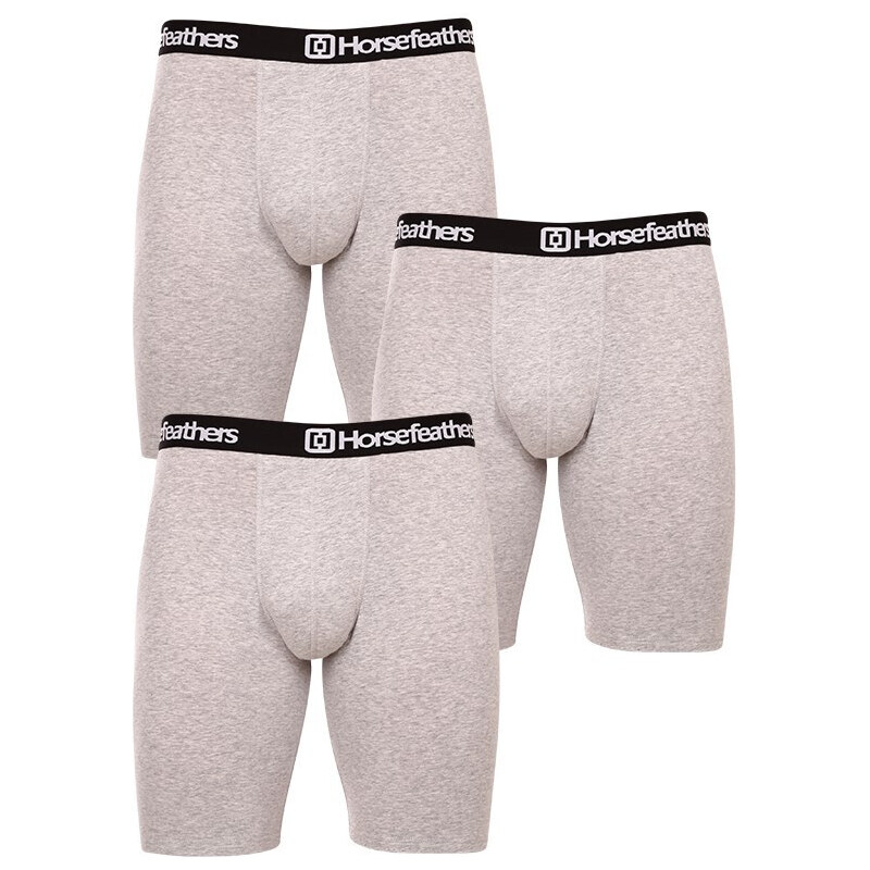 3PACK pánské boxerky Horsefeathers Dynasty long (AM195C)