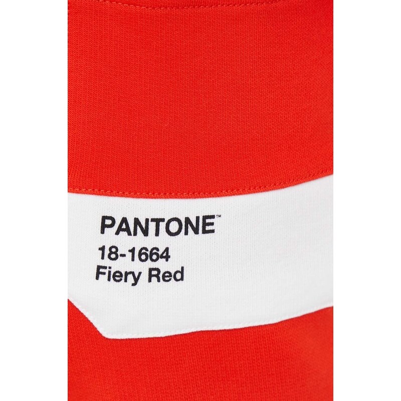 Bavlněné tepláky United Colors of Benetton X Pantone oranžová barva, s potiskem