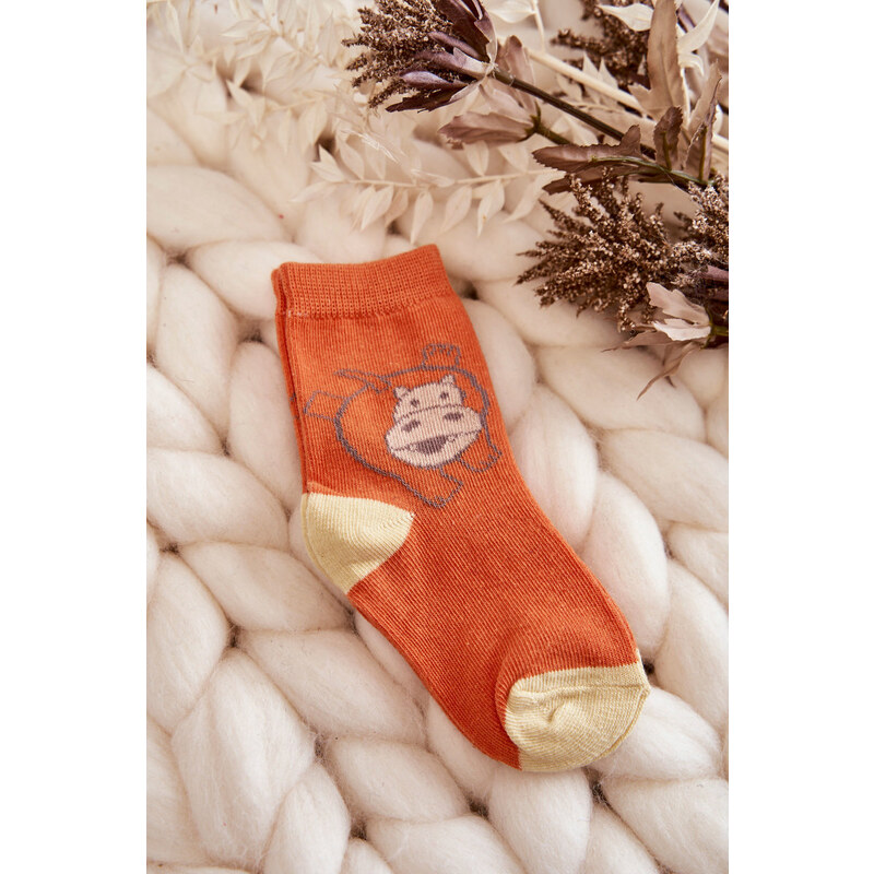 Kesi Dětské ponožky se zvířátky 5-balení vícebarevné