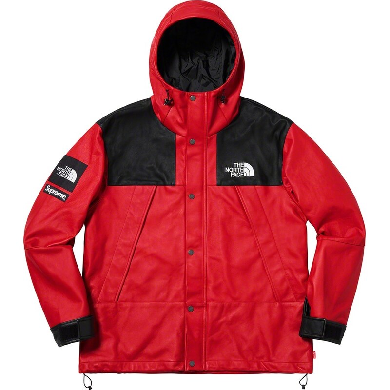 Supreme/The North Face Leather Mountain Parka
