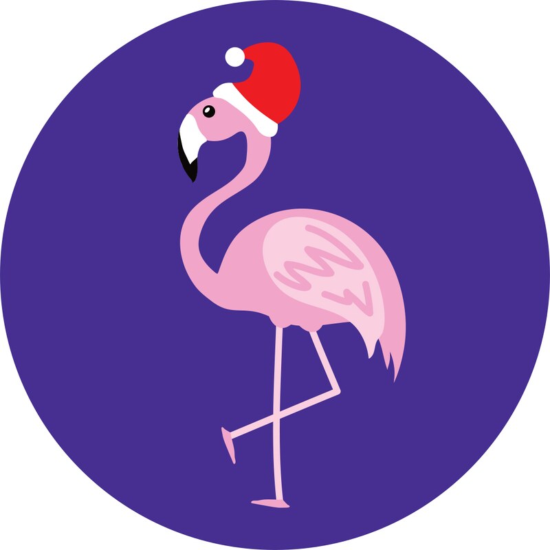 Dámský svetr Flamingo Frogies Christmas