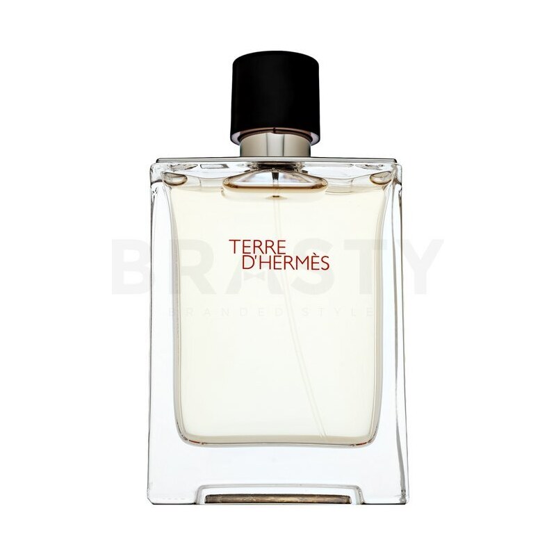 Hermès Terre D'Hermes toaletní voda pro muže 100 ml