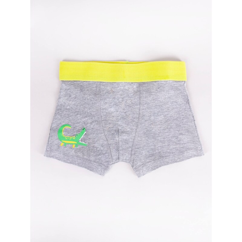 Yoclub Kids's Cotton Boys' Boxer Briefs Underwear 2-pack BMB-0011C-AA30-001