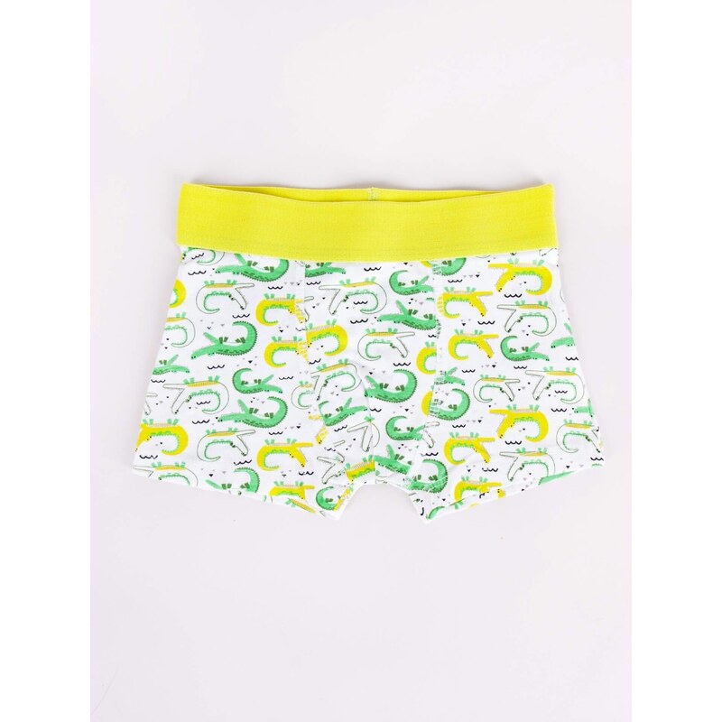 Yoclub Kids's Cotton Boys' Boxer Briefs Underwear 2-pack BMB-0011C-AA30-001