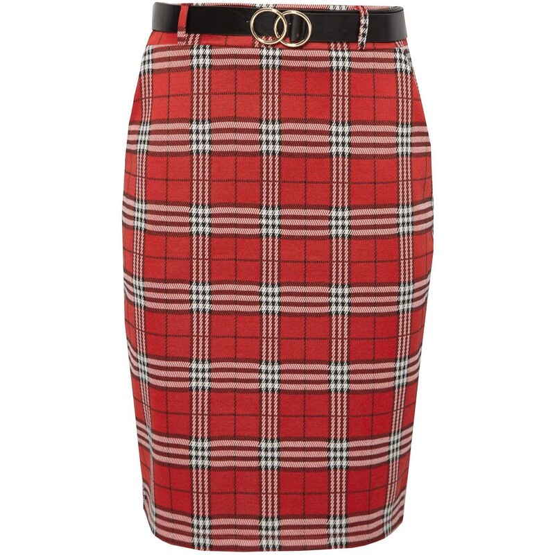 Top Secret LADY'S SKIRT