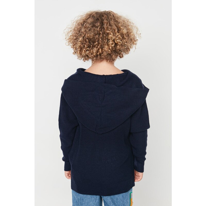 Trendyol Navy Blue Hooded Boy Knitwear Sweater