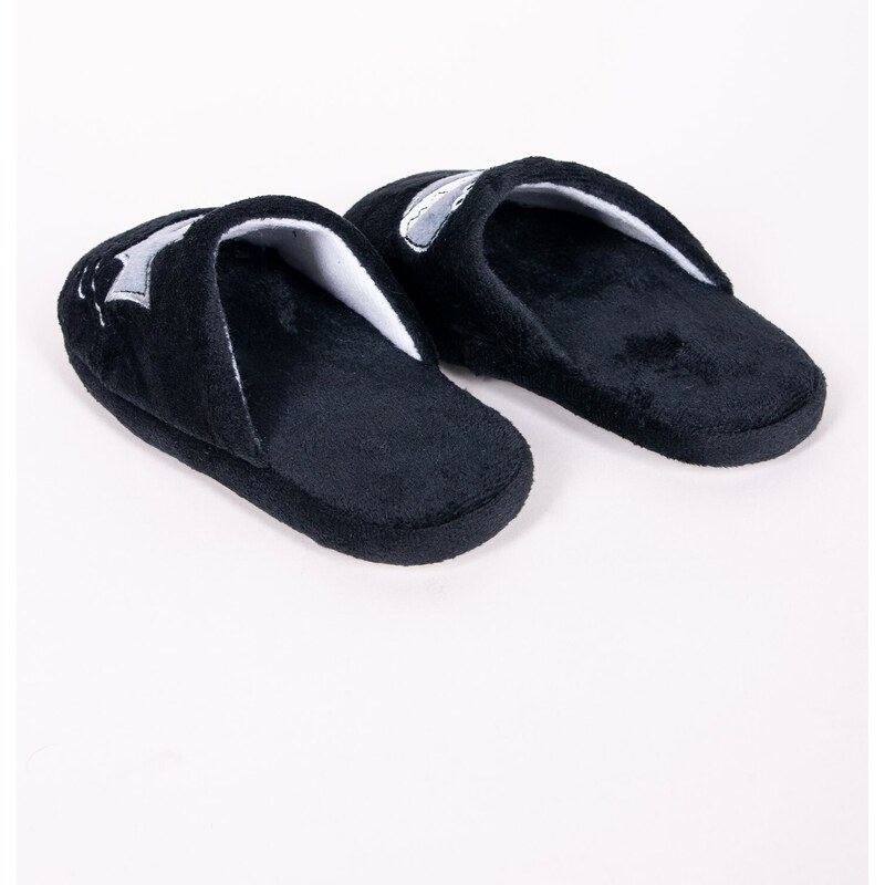 Yoclub Kids's Boys' Slippers OKL-0117C-3400