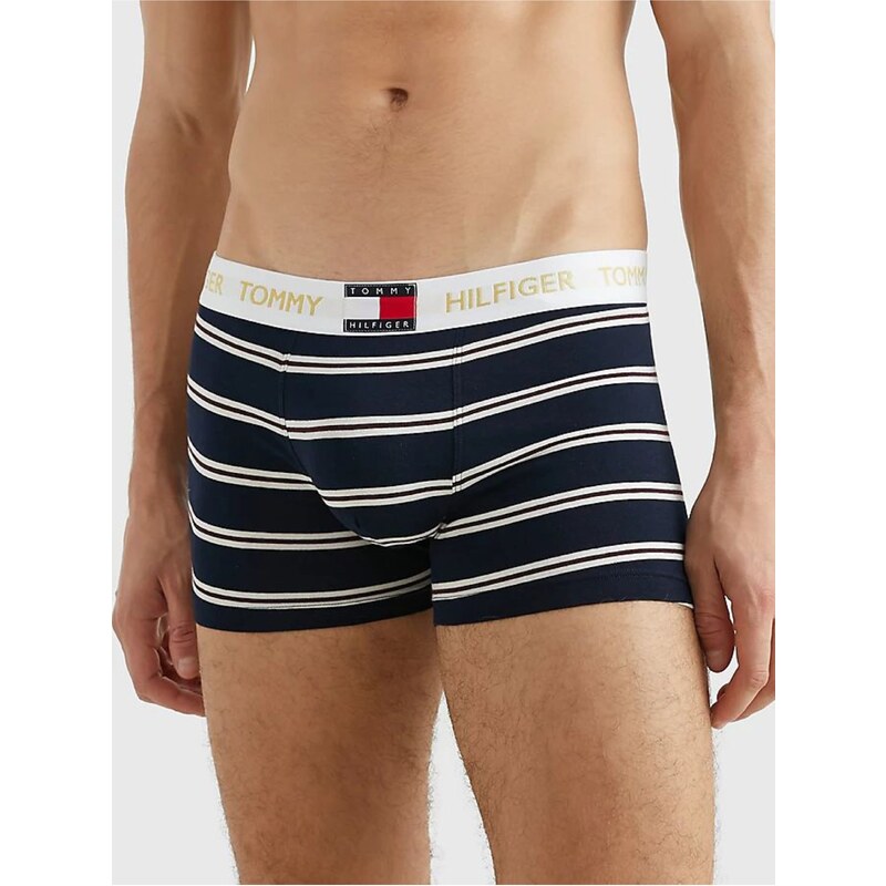 Bílo-modré pánské pruhované boxerky Tommy Hilfiger Underwear - Pánské