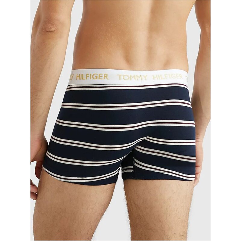 Bílo-modré pánské pruhované boxerky Tommy Hilfiger Underwear - Pánské