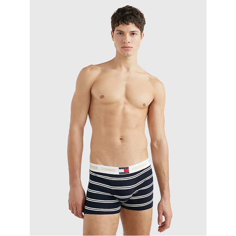 Bílo-modré pánské pruhované boxerky Tommy Hilfiger Underwear - Pánské