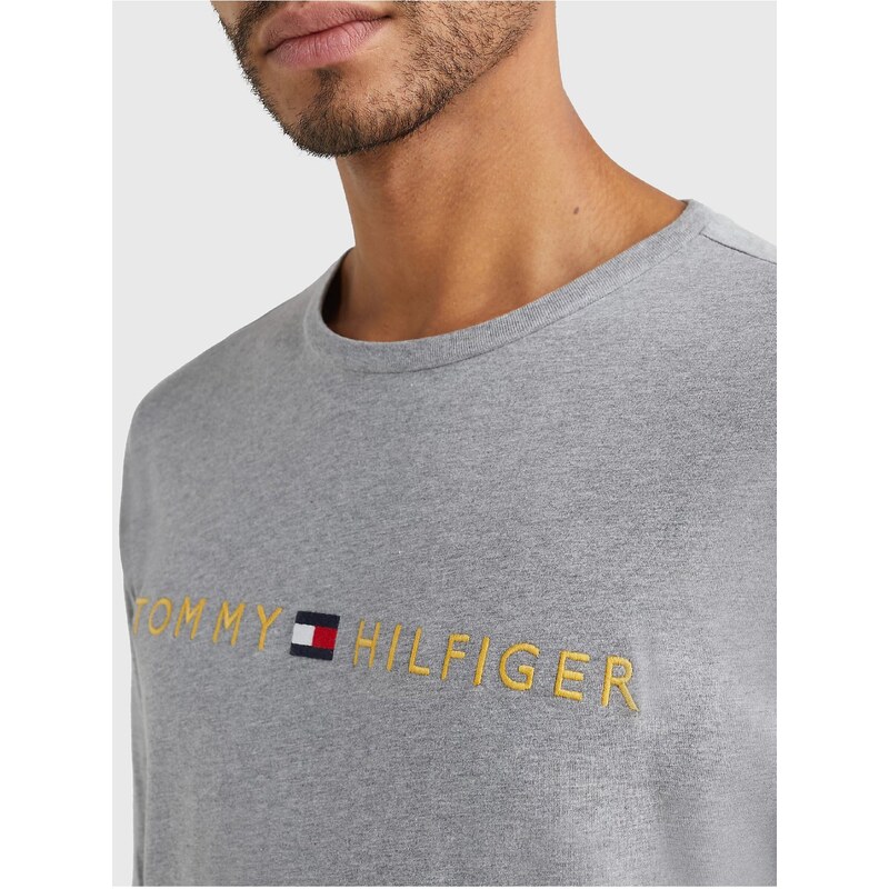 Pánské tričko Tommy Hilfiger DP-3468520