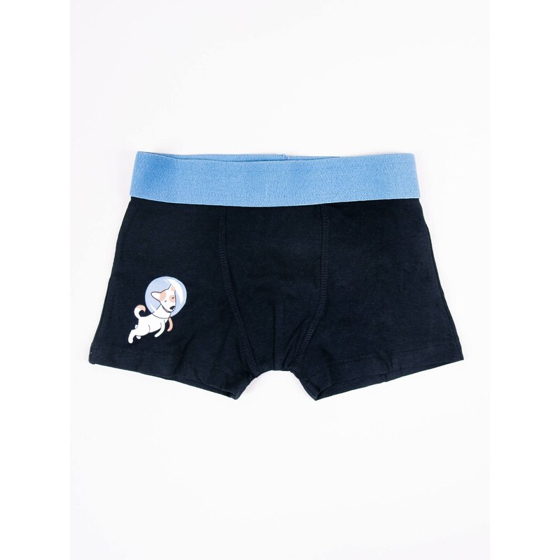 Yoclub Kids's Cotton Boys' Boxer Briefs Underwear 2-pack BMB-0012C-AA30-001