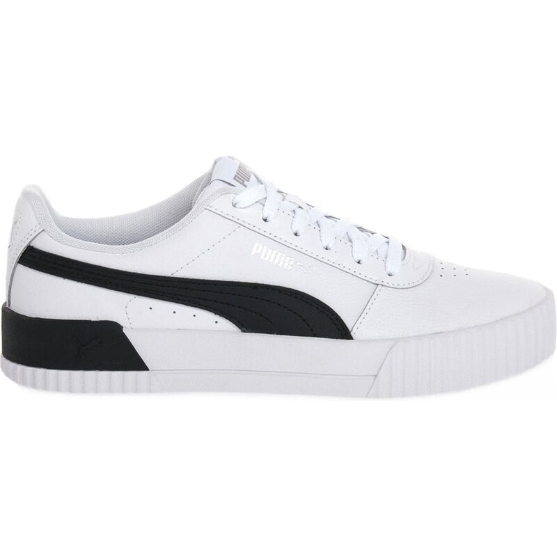 Puma Carina L