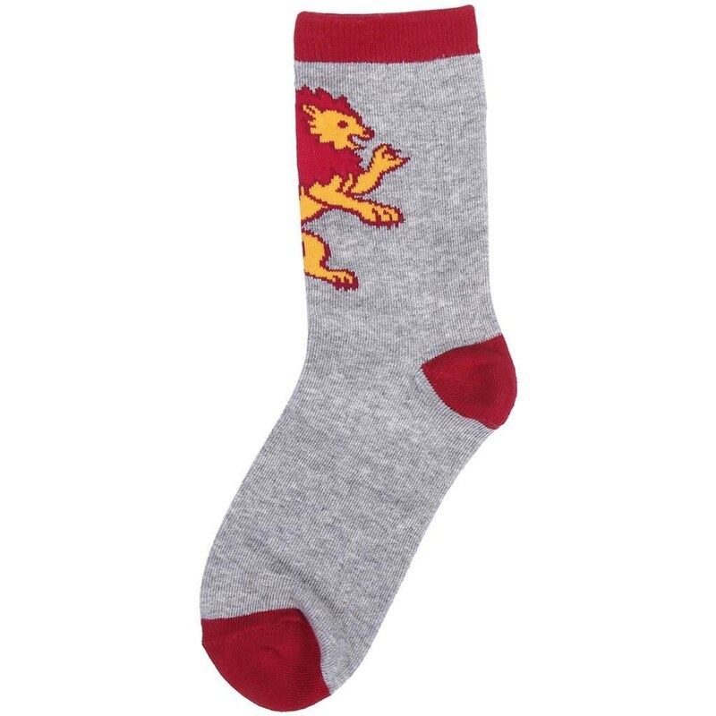 BRIEF AND SOCKS PACK 4 PIECES HARRY POTTER