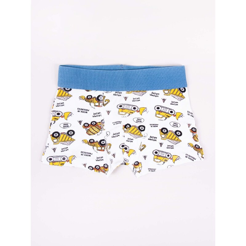 Yoclub Kids's Cotton Boys' Boxer Briefs Underwear 2-pack BMB-0008C-AA30-001