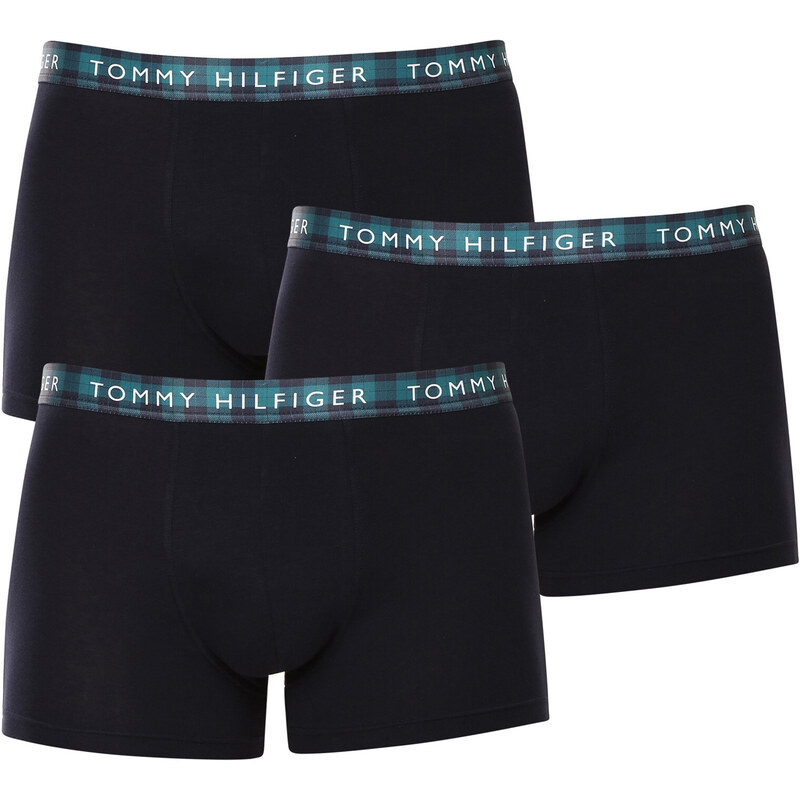 3PACK pánské boxerky Tommy Hilfiger vícebarevné (UM0UM02702 0TT)