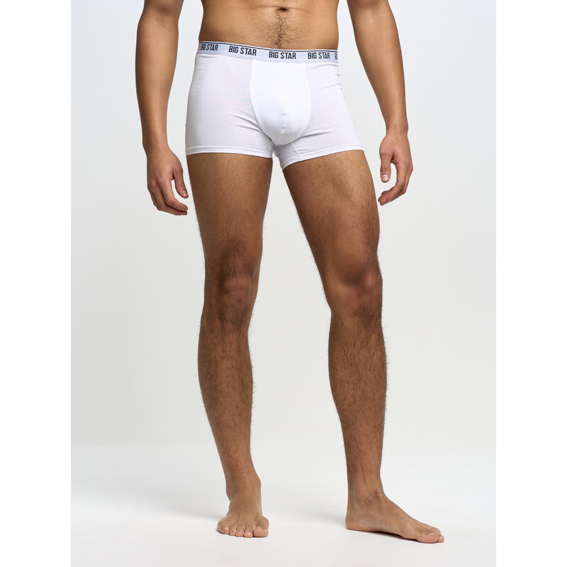 Big Star Man's Boxer Shorts Underwear 200033 Cream 101