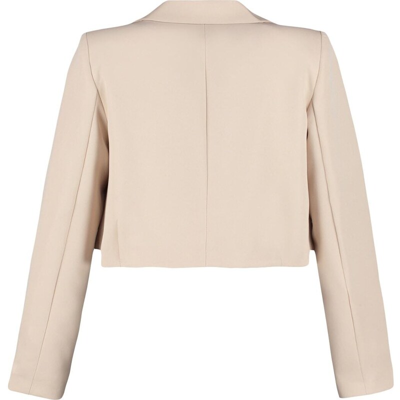 Trendyol Stone Crop Woven Lined Blazer Jacket