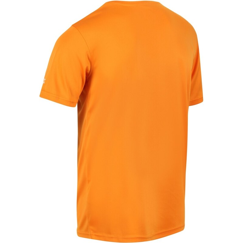Pánské funkční tričko Regatta FINGAL SLOGAN oranžová