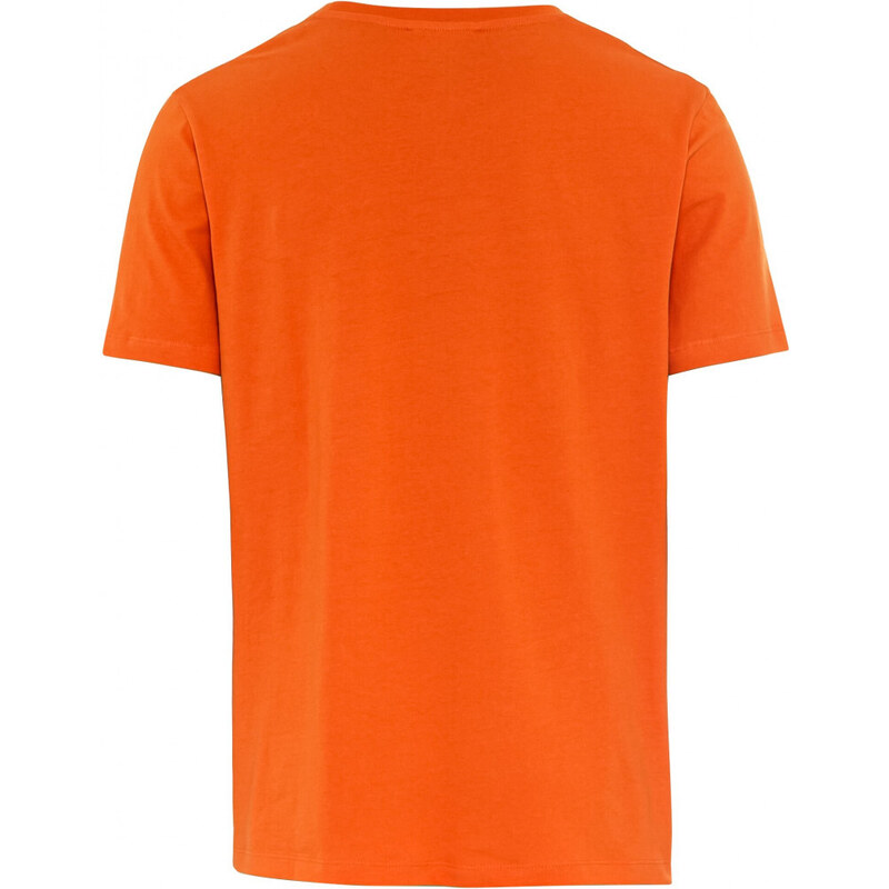 TRIČKO CAMEL ACTIVE T-SHIRT