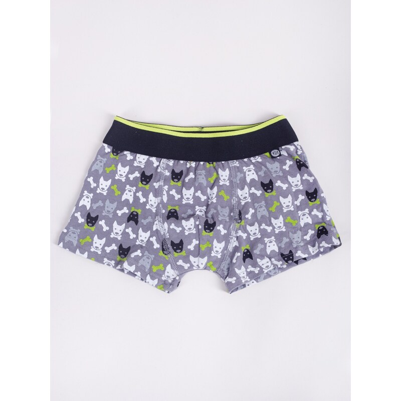 Yoclub Kids's 2Pack Boy's Boxer Briefs BMB-0018C-AA30