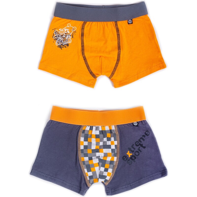 Yoclub Kids's 2Pack Boy's Boxer Briefs BMB-0014C-AA30