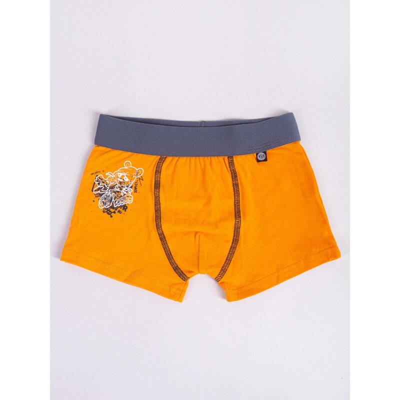 Yoclub Kids's 2Pack Boy's Boxer Briefs BMB-0014C-AA30