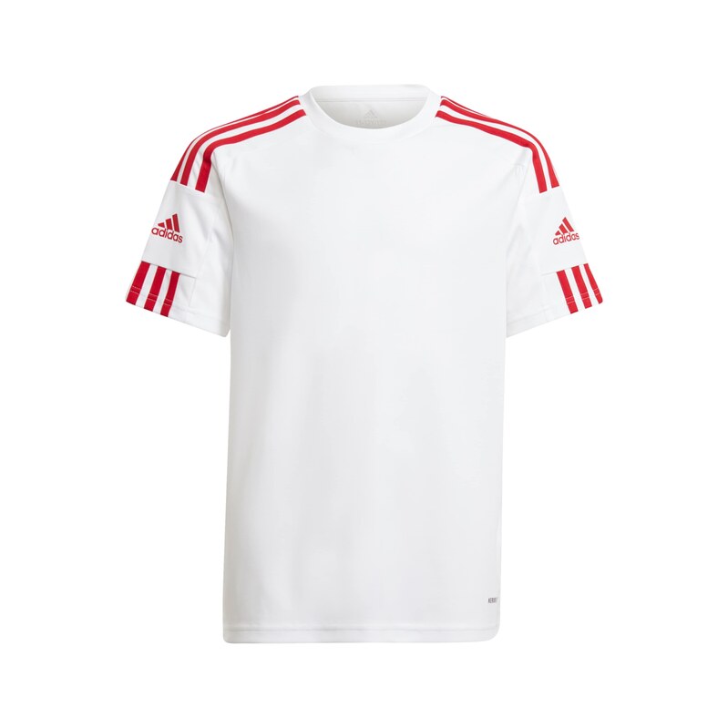 ADIDAS PERFORMANCE Funkční tričko Squadra 21 červená / bílá