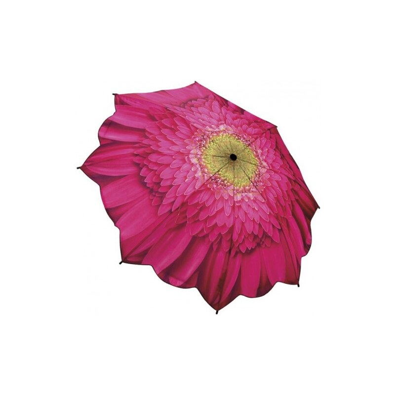 Blooming Brollies Dámský skládací plně automatický deštník Galleria Gerbera Daisy Floral GFFGD