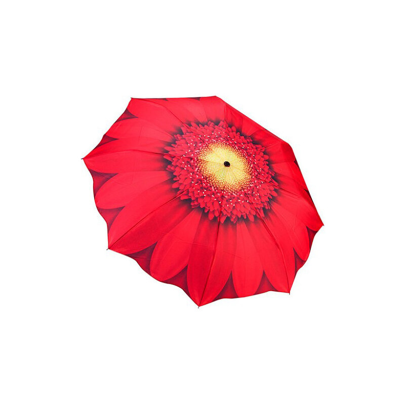 Blooming Brollies Dámský skládací plně automatický deštník Galleria Red Daisy Floral GFFRD