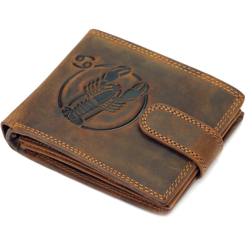 Pánská kožená peněženka Wild L895-010 varianta 6 hnědá