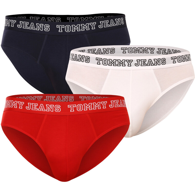 3PACK pánské slipy Tommy Hilfiger vícebarevné (UM0UM02849 0T6)