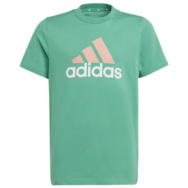 Dětské tričko Big Logo 2 Tee Jr IB8776 - Adidas