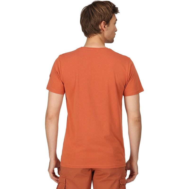 Pánské bavlněné tričko Regatta CLINE VII oranžová