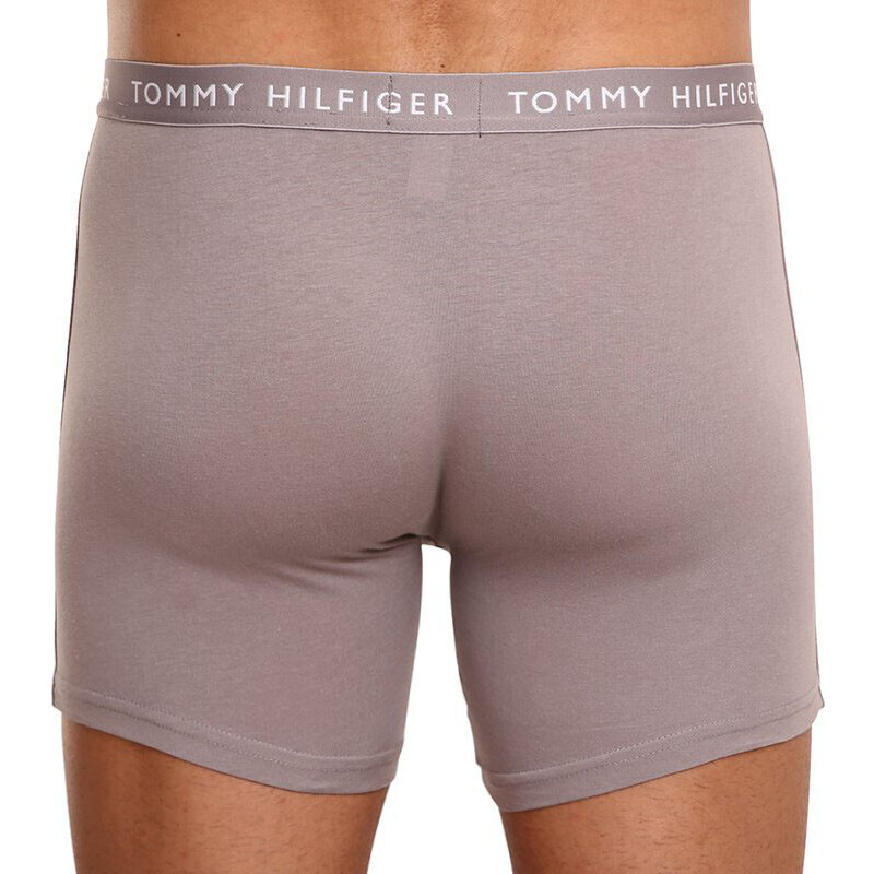 3PACK pánské boxerky Tommy Hilfiger vícebarevné (UM0UM02204 0TG)