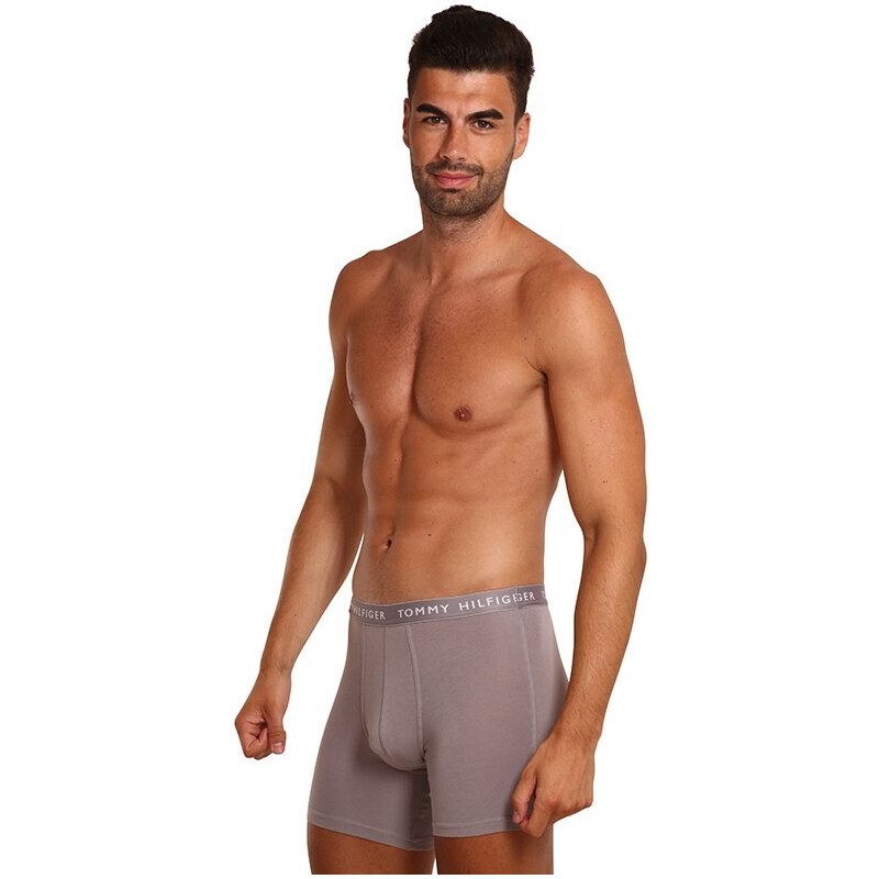 3PACK pánské boxerky Tommy Hilfiger vícebarevné (UM0UM02204 0TG)