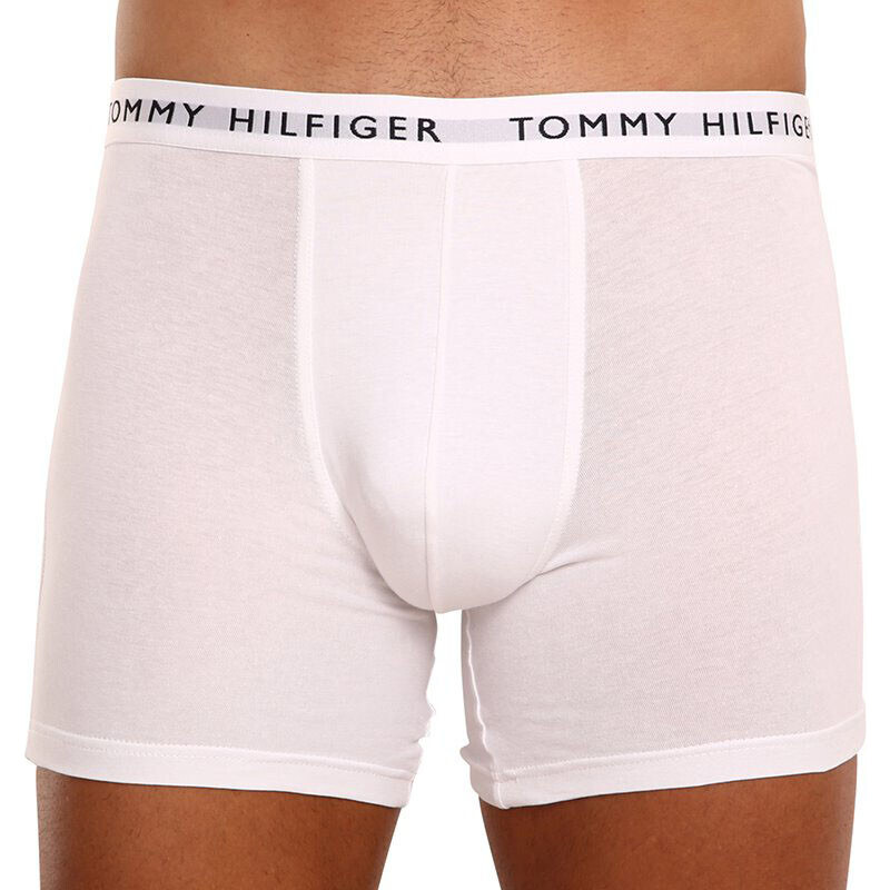 3PACK pánské boxerky Tommy Hilfiger vícebarevné (UM0UM02204 0TG)