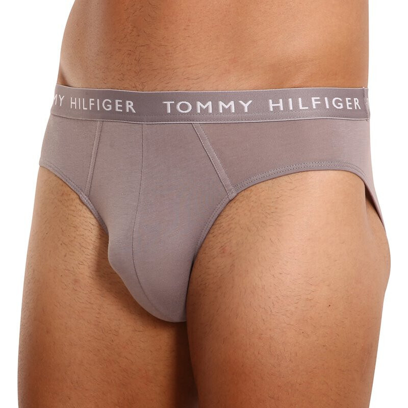 3PACK pánské slipy Tommy Hilfiger vícebarevné (UM0UM02206 0TG)