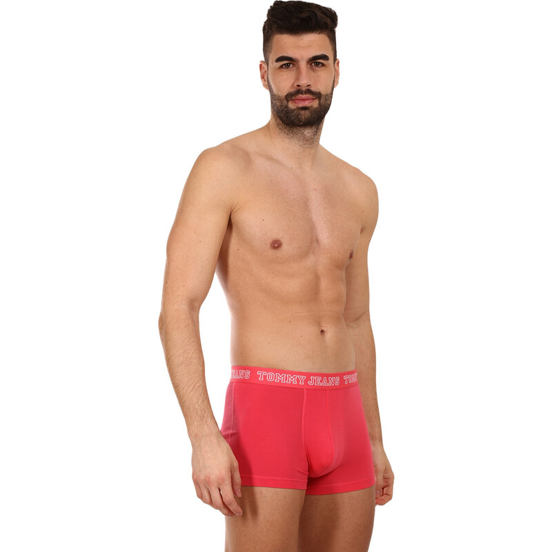 3PACK pánské boxerky Tommy Hilfiger vícebarevné (UM0UM02850 0T0)