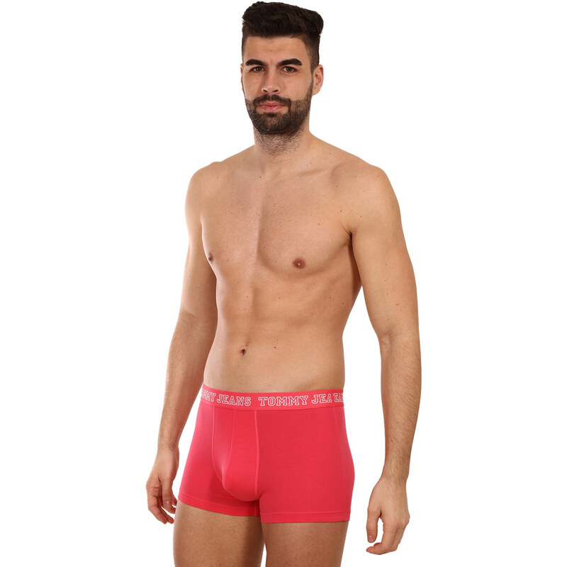 3PACK pánské boxerky Tommy Hilfiger vícebarevné (UM0UM02850 0T0)