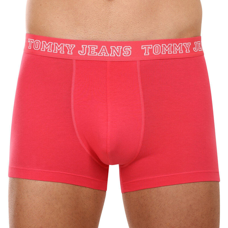 3PACK pánské boxerky Tommy Hilfiger vícebarevné (UM0UM02850 0T0)