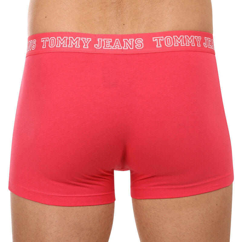 3PACK pánské boxerky Tommy Hilfiger vícebarevné (UM0UM02850 0T0)