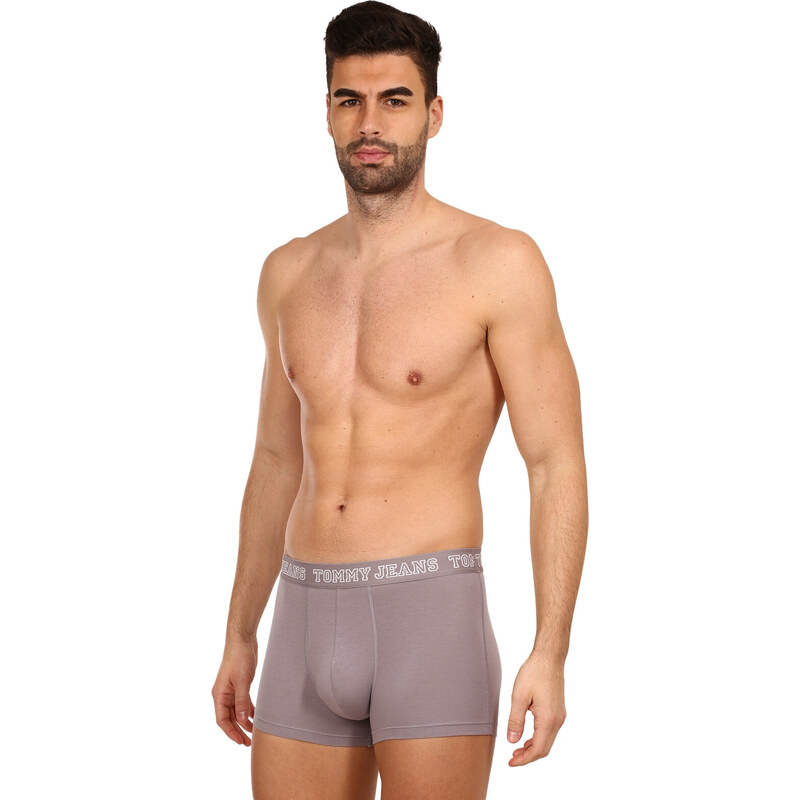 3PACK pánské boxerky Tommy Hilfiger vícebarevné