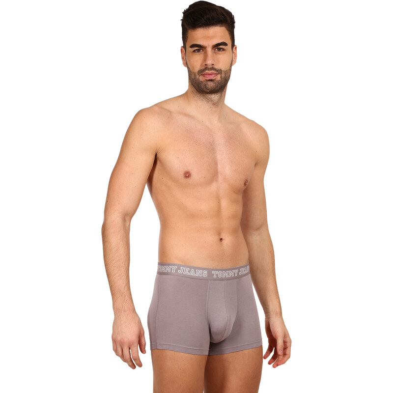 3PACK pánské boxerky Tommy Hilfiger vícebarevné