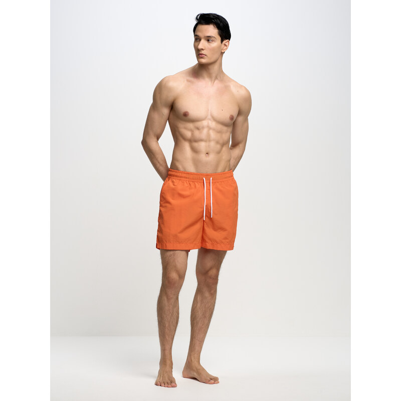 Big Star Man's Swim_shorts Swimsuit 390014 701